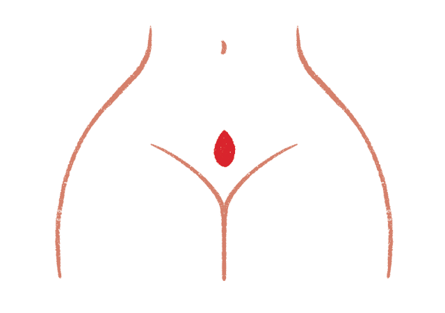 outline of the lower half of a woman a small blood drop near her uterus